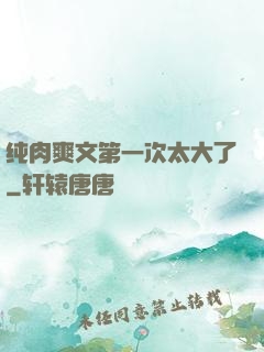 纯肉爽文第一次太大了