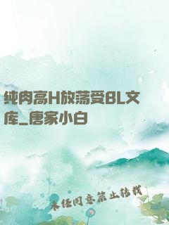 纯肉高H放荡受BL文库