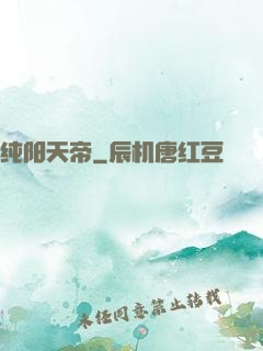 纯阳天帝