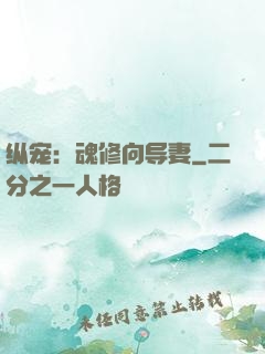 纵宠：魂修向导妻
