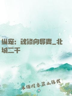 纵宠：魂修向导妻