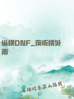 纵横DNF