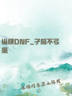 纵横DNF