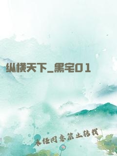 纵横天下