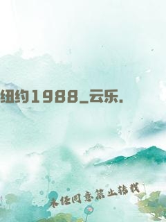 纽约1988