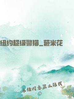 纽约超级警猫