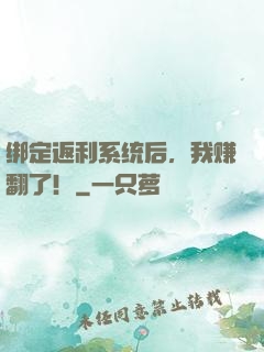 绑定返利系统后，我赚翻了！