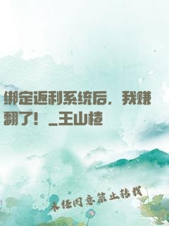 绑定返利系统后，我赚翻了！