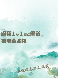 给我1v1sc黑道