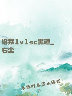 给我1v1sc黑道