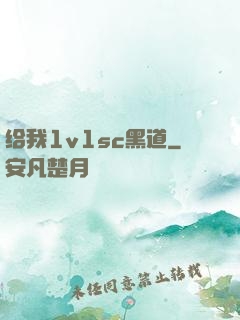给我1v1sc黑道