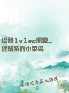 给我1v1sc黑道