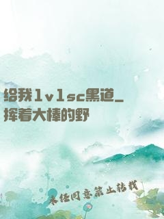 给我1v1sc黑道