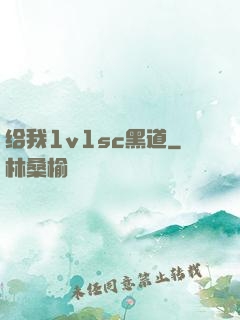 给我1v1sc黑道
