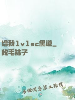 给我1v1sc黑道