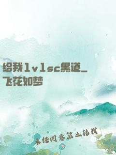 给我1v1sc黑道