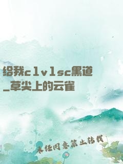 给我c1v1sc黑道