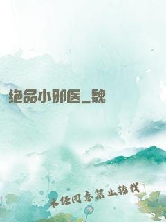 绝品小邪医