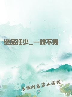 绝品狂少