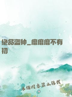 绝品盗帅