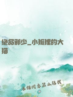绝品邪少