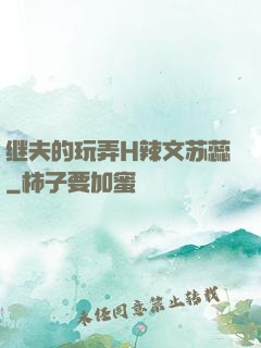 继夫的玩弄H辣文苏蕊