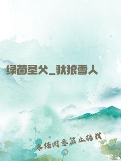 绿茵圣父