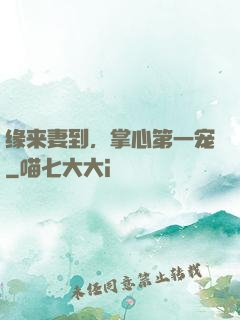 缘来妻到，掌心第一宠