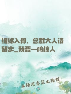 缠绵入骨，总裁大人请留步