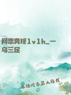 网恋奔现1v1h
