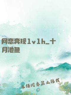 网恋奔现1v1h