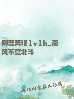 网恋奔现1v1h