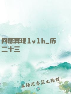 网恋奔现1v1h