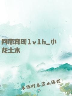 网恋奔现1v1h