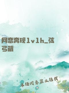 网恋奔现1v1h