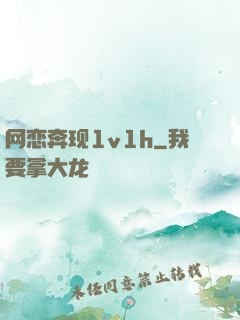 网恋奔现1v1h
