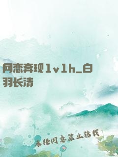 网恋奔现1v1h