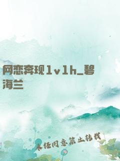 网恋奔现1v1h