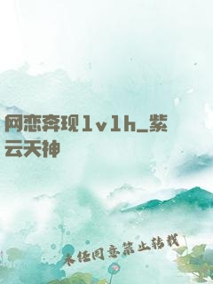 网恋奔现1v1h