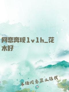 网恋奔现1v1h
