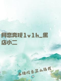 网恋奔现1v1h