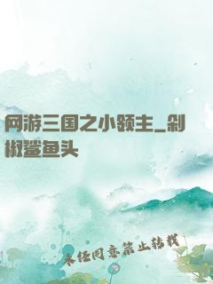 网游三国之小领主