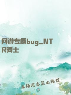 网游专属bug