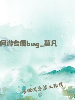 网游专属bug