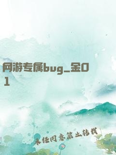 网游专属bug