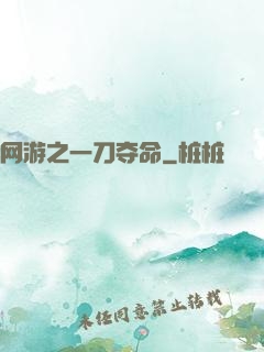 网游之一刀夺命