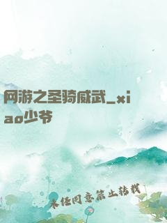 网游之圣骑威武