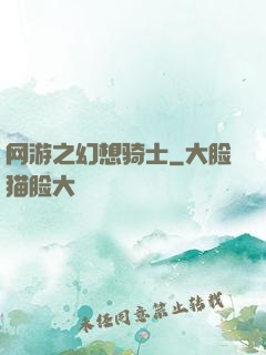 网游之幻想骑士