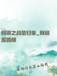 网游之战圣归来