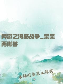 网游之海岛战争